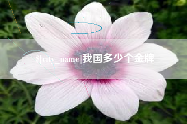 徐州我国多少个金牌