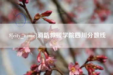 徐州消防救援学院四川分数线