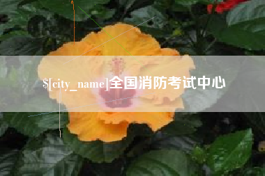 徐州全国消防考试中心