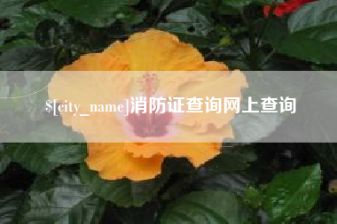 徐州消防证查询网上查询