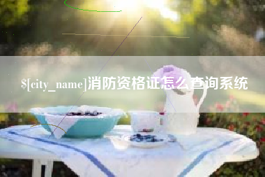 徐州消防资格证怎么查询系统