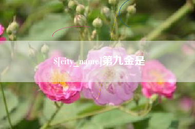 徐州第九金是