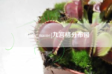 徐州九宫格分布图