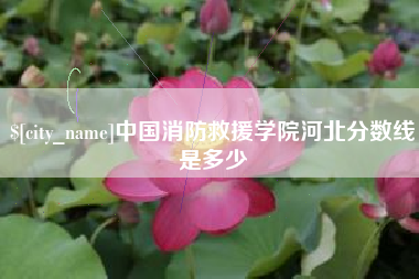 徐州中国消防救援学院河北分数线是多少