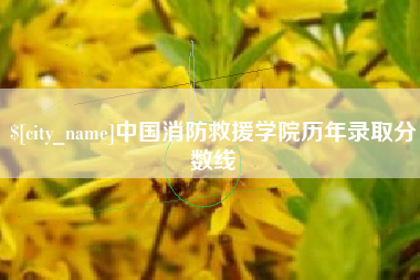 徐州中国消防救援学院历年录取分数线