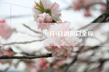 徐州11月9日消防日全称