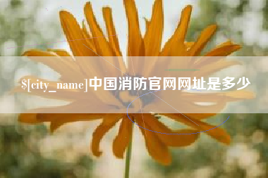 徐州中国消防官网网址是多少