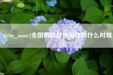 徐州全国消防日是每年的什么时候