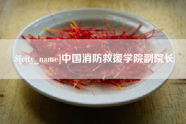 徐州中国消防救援学院副院长