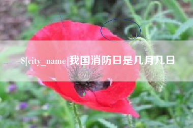 徐州我国消防日是几月几日