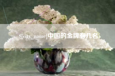 徐州中国的金牌有几名