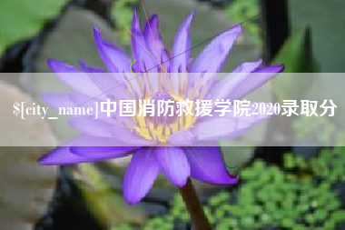 徐州中国消防救援学院2020录取分