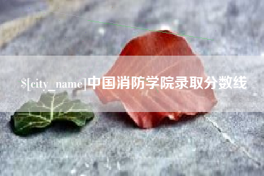 徐州中国消防学院录取分数线