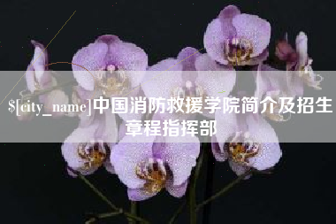 徐州中国消防救援学院简介及招生章程指挥部