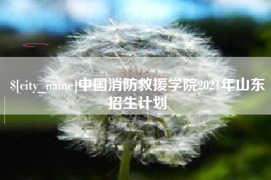 徐州中国消防救援学院2021年山东招生计划