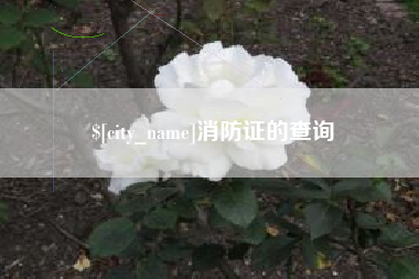 徐州消防证的查询