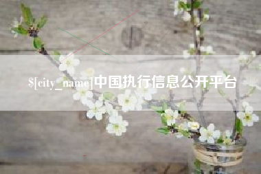 徐州中国执行信息公开平台