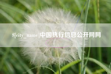 徐州中国执行信息公开网网