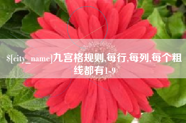 徐州九宫格规则,每行,每列,每个粗线都有1-9