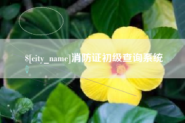 徐州消防证初级查询系统