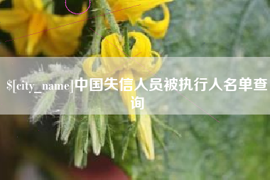 徐州中国失信人员被执行人名单查询