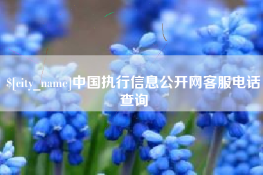 徐州中国执行信息公开网客服电话查询