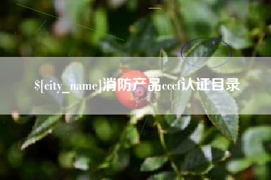 徐州消防产品cccf认证目录