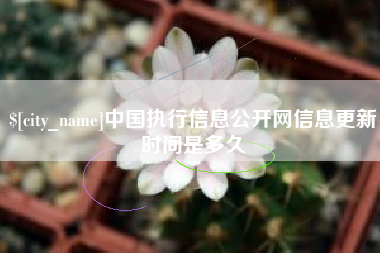 徐州中国执行信息公开网信息更新时间是多久