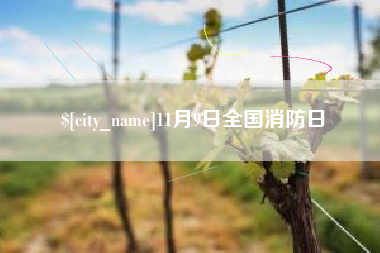 徐州11月9日全国消防日