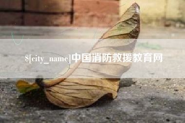 徐州中国消防救援教育网