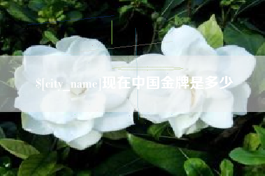 徐州现在中国金牌是多少