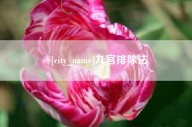 徐州九宫排除法