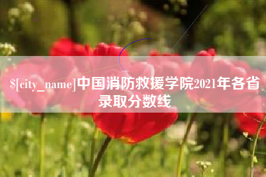 徐州中国消防救援学院2021年各省录取分数线