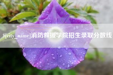 徐州消防救援学院招生录取分数线