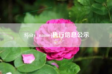徐州执行信息公示