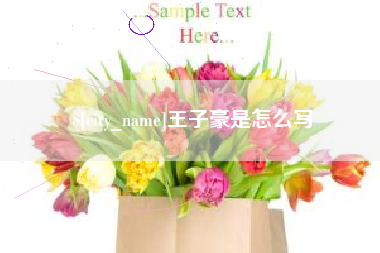 徐州王子豪是怎么写