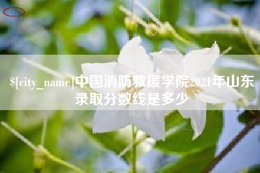徐州中国消防救援学院2021年山东录取分数线是多少