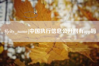徐州中国执行信息公开网有app吗