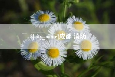 徐州成都 消防