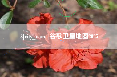 徐州谷歌卫星地图2025