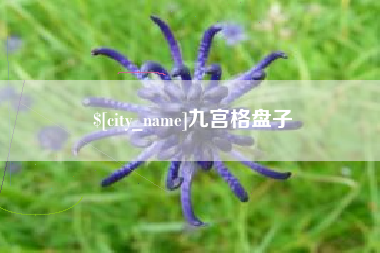 徐州九宫格盘子