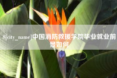 徐州中国消防救援学院毕业就业前景如何