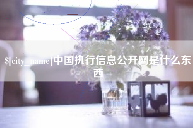 徐州中国执行信息公开网是什么东西