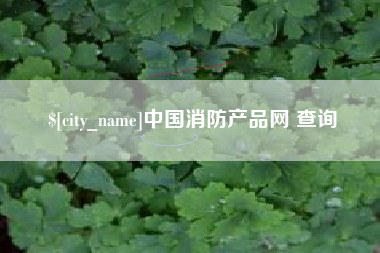 徐州中国消防产品网 查询