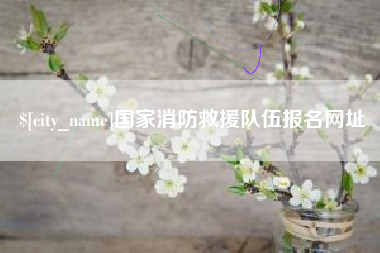 徐州国家消防救援队伍报名网址