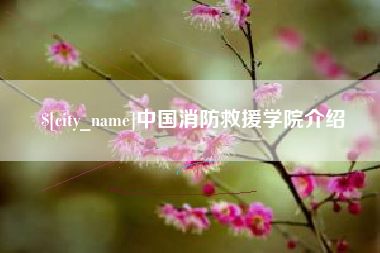 徐州中国消防救援学院介绍