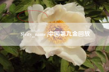 徐州中国第九金回放