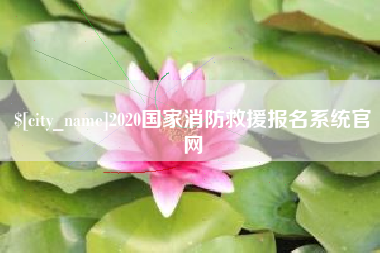 徐州2020国家消防救援报名系统官网