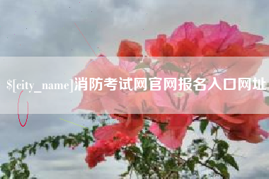 徐州消防考试网官网报名入口网址