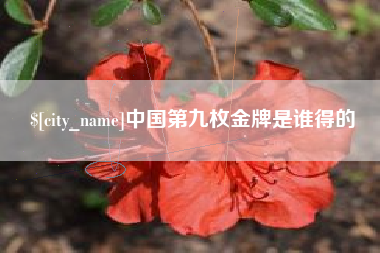 徐州中国第九枚金牌是谁得的